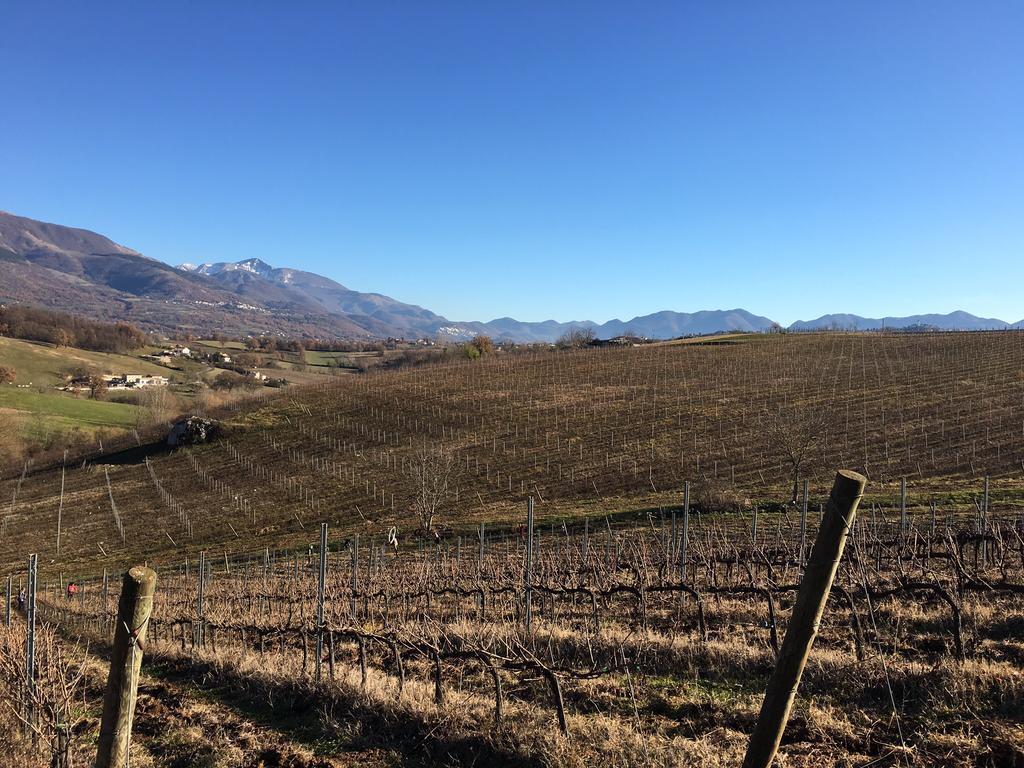 Agriturismo Di Charme Erbadoro Alvito Екстериор снимка