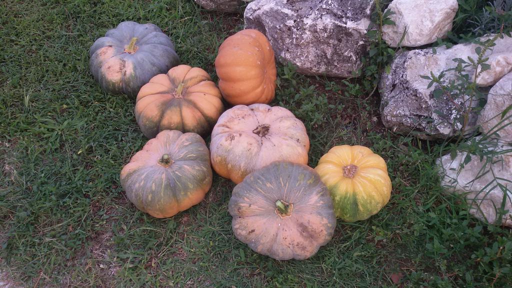 Agriturismo Di Charme Erbadoro Alvito Екстериор снимка