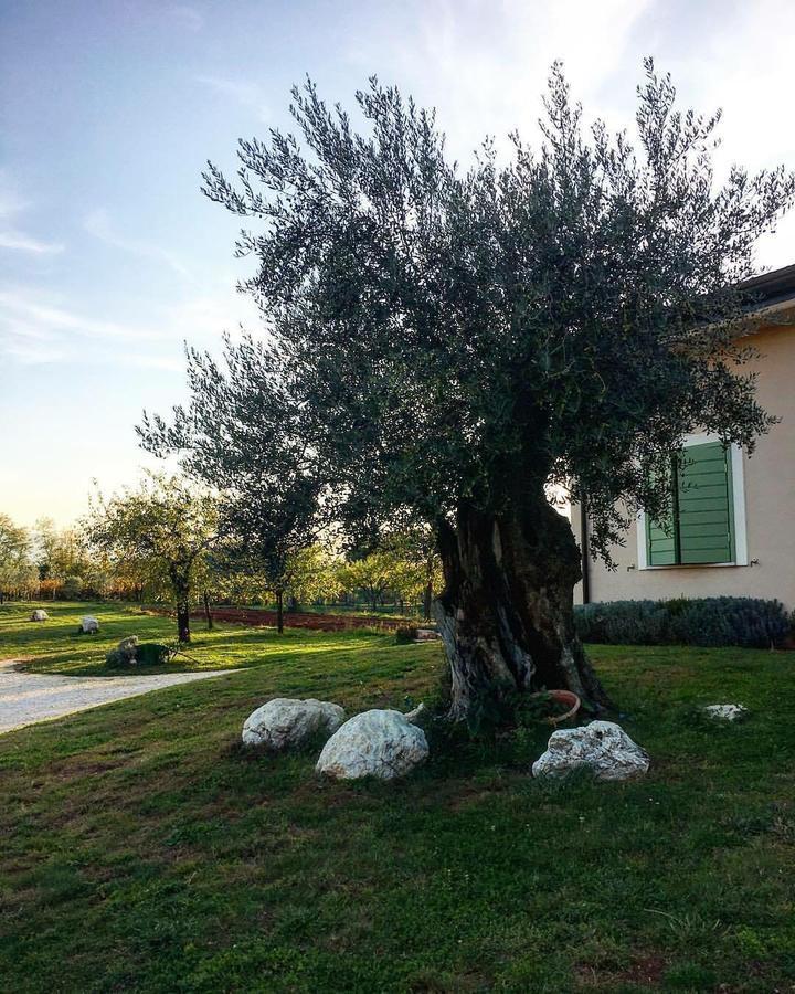 Agriturismo Di Charme Erbadoro Alvito Екстериор снимка
