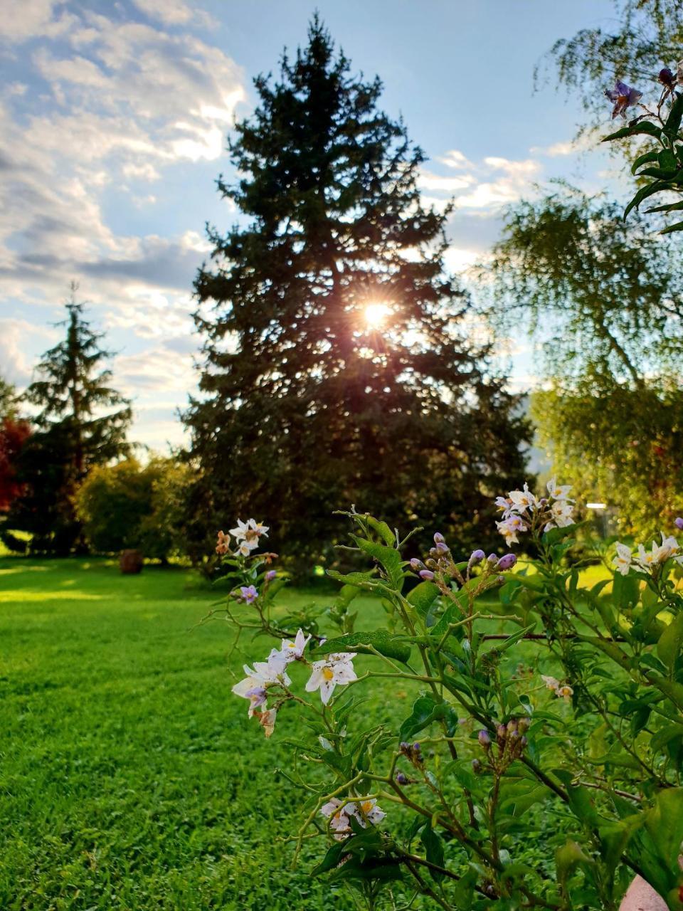 Agriturismo Di Charme Erbadoro Alvito Екстериор снимка