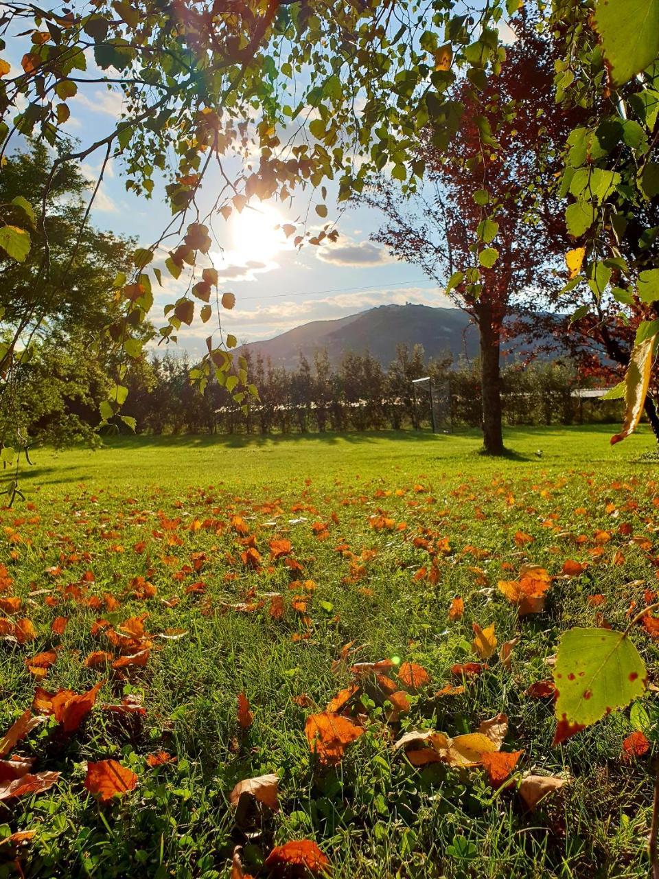 Agriturismo Di Charme Erbadoro Alvito Екстериор снимка